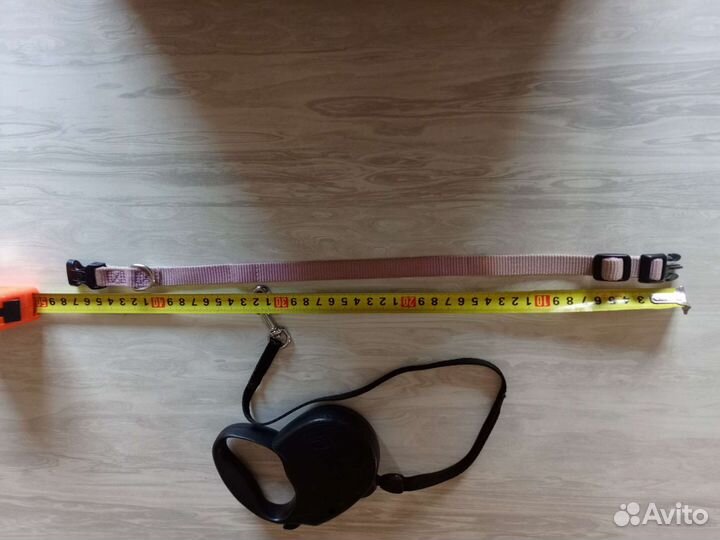 Поводок с ошейником для собак