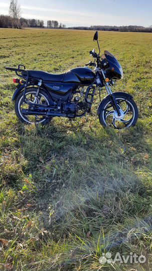 Мопед Альфа рейсталинг Пегас