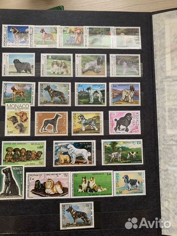 Почтовые марки собаки объявление продам