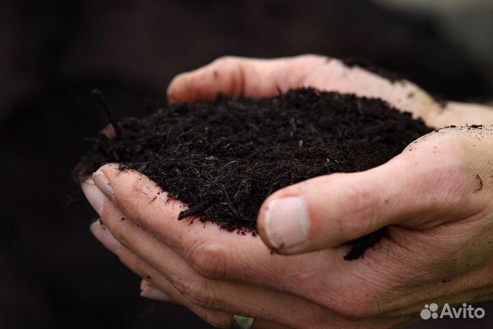 Торфогрунт