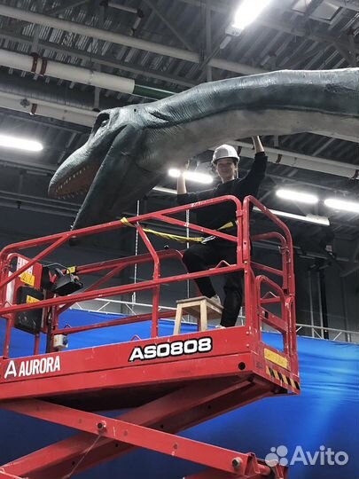 Декоратор, реставратор, художник