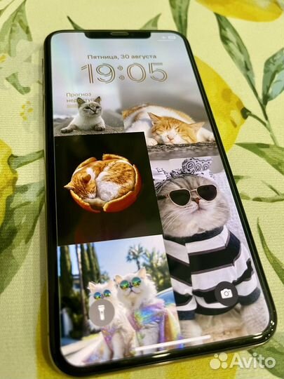 iPhone Xs Max, 256 ГБ