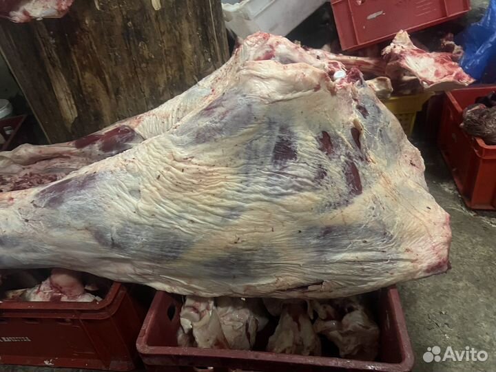 Продаю мясо Баранины, телятины, говядины