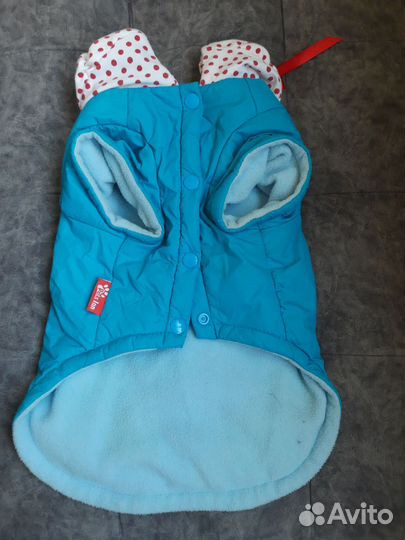 Одежда для средних собак