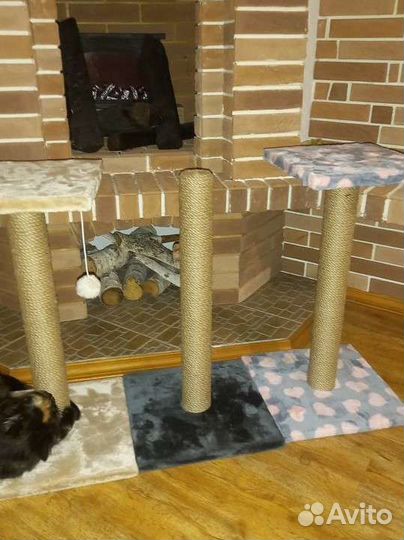 Когтеточки новые высокие