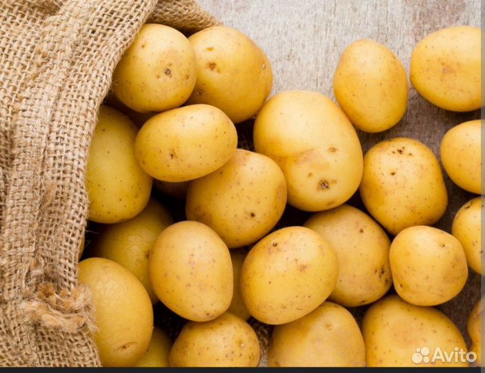 Продам картофель оптом