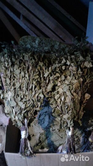 Веники для баньки