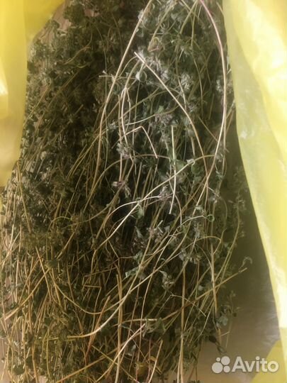 Запасы с дачи