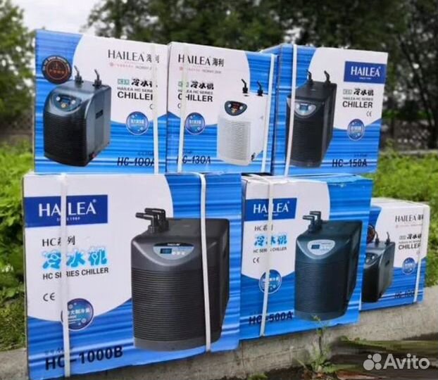 Холодильник hailea нс