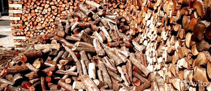 Дрова с Приморска