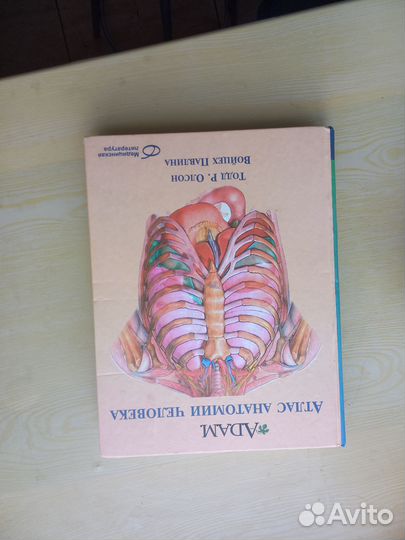 Атлас по анатомии адам и учебник по неврологии