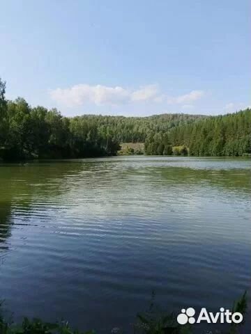 Инвестиции в Действующее рыбное хозяйство