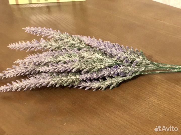 Веточка лаванды декоротивной