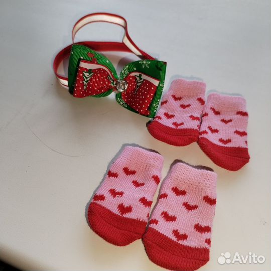 Одежда для кошек и собак