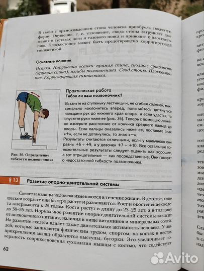 Учебник по биологии. 8 класс. А.Г. Драгомиров. Маш