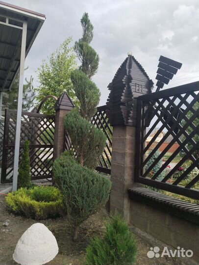 Декоративная стрижка растений, живой изгороди