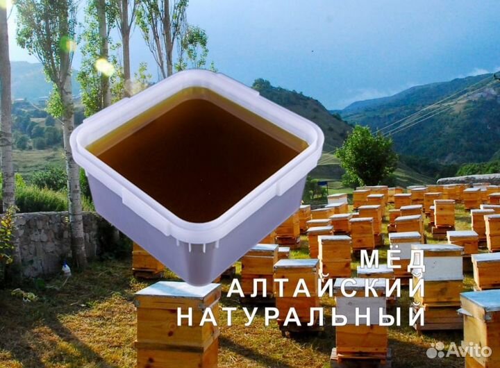 Мед натуральный с Алтая опт