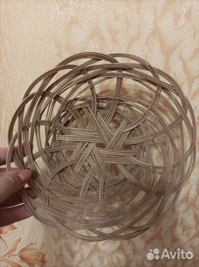 Набор ракушек