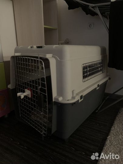 Переноска для животных