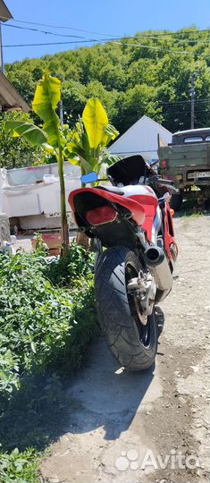 Honda CBR250RR