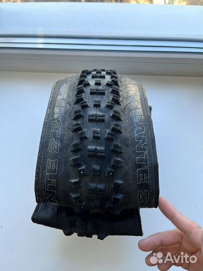 WTB vigilante 29, 2.3