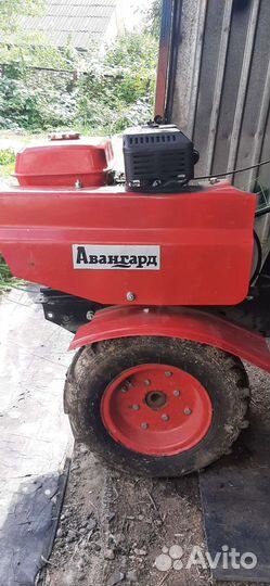 Тележка для жаток Кадви, Авангард 2016