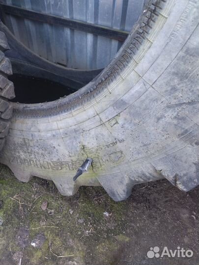 Резина на мтз 82 задняя бу