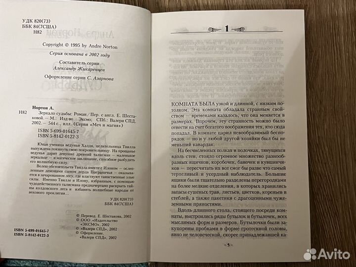 Андрэ Нортон. Зеркало судьбы