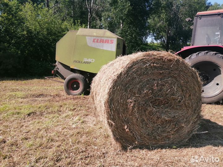 Сено Заготовка Доставка