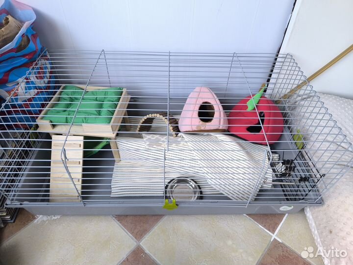 Клетка и вещи для морской свинки