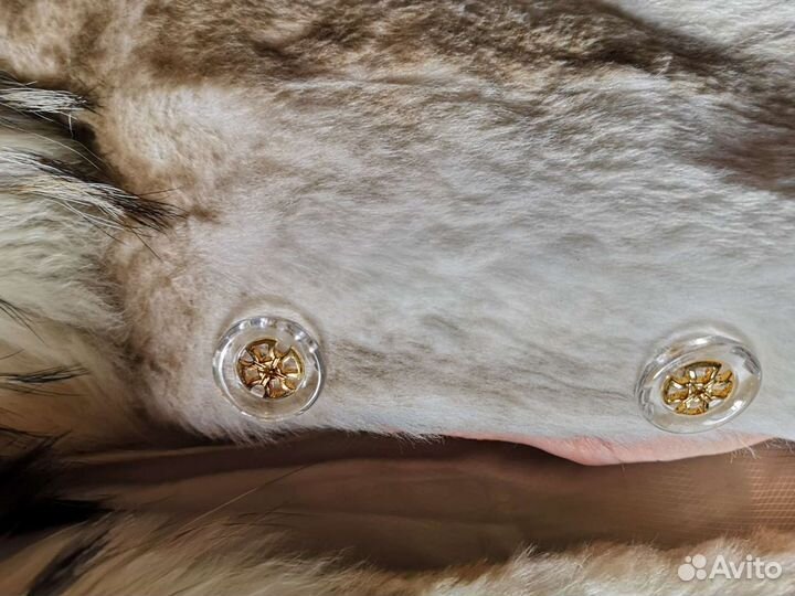 Шуба возможен торг