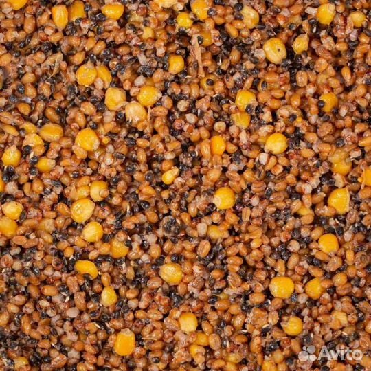 Зерновая смесь Spod mix Minenko PMbaits Aroma free