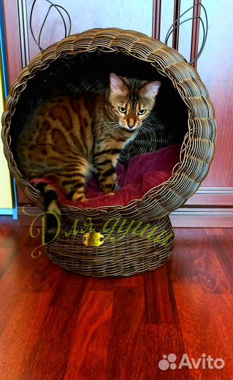 Домик для питомца плетёный из экоротанга