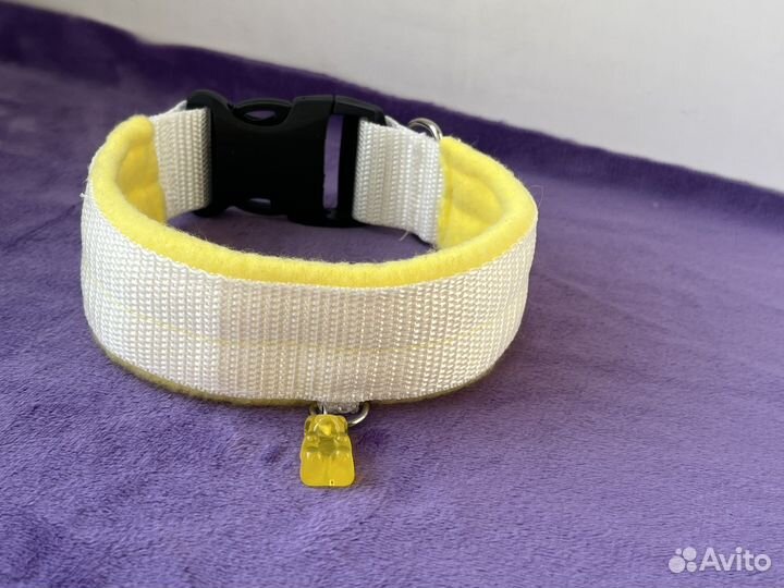 Ошейник для собак
