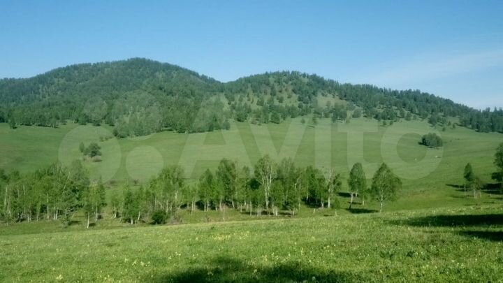 Участок 5,6 га (СНТ, ДНП)