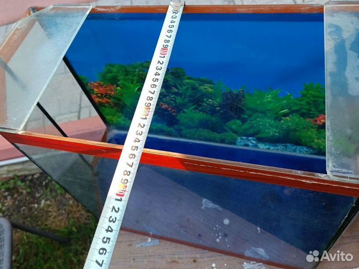 Аквариумные рыбки