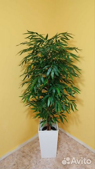 Искусственное дерево бамбук