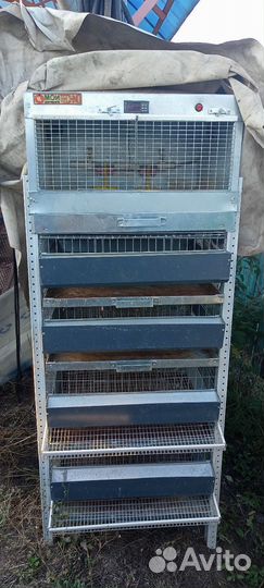 Клетки для перепелов, домашняя ферма