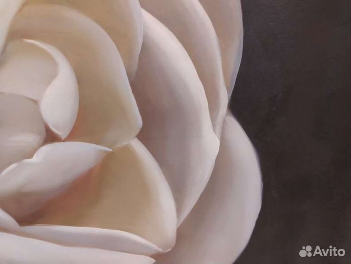 Картина маслом белая роза на черном