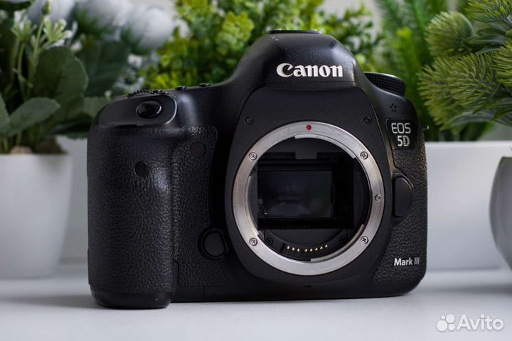 Canon 5D Mark III (Пробег 84 тысячи)