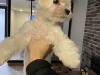 подольск отопление 2024. подольск отопление 2024. подольск отопление 2024.