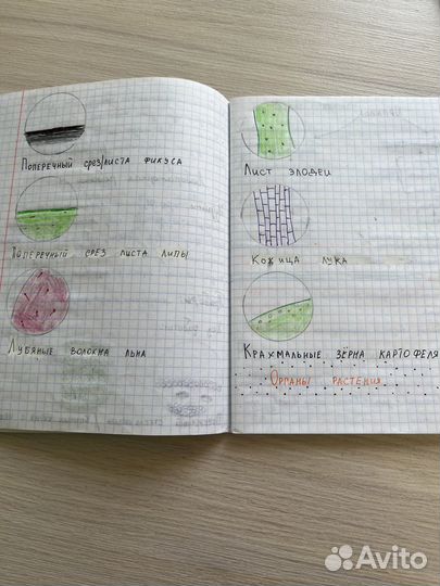 Переписать конспект от руки