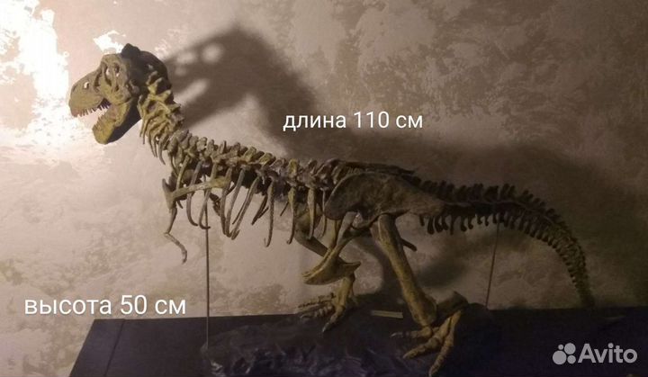 Тираннозавр Рекс