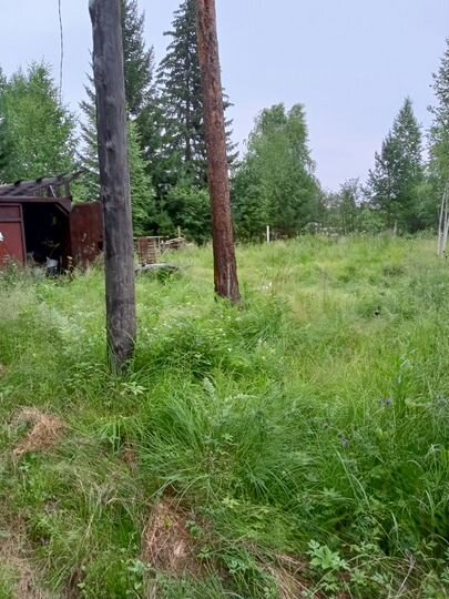 Участок 8 сот. (СНТ, ДНП)