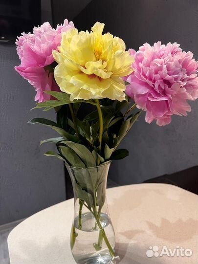 Живые цветы букеты