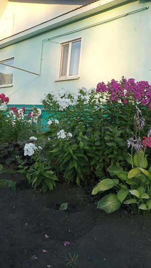 Дом 100 м² на участке 6 сот.