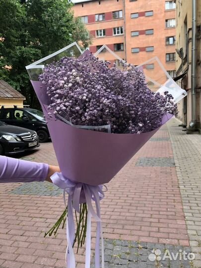 Букет из 9 фиолетовых гипсофил