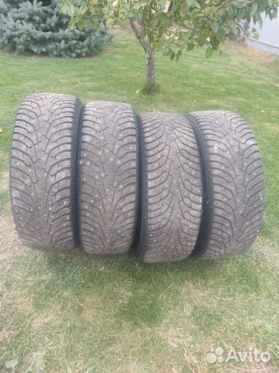 Maxxis Premitra Ice Nord NS5 205/55 R16