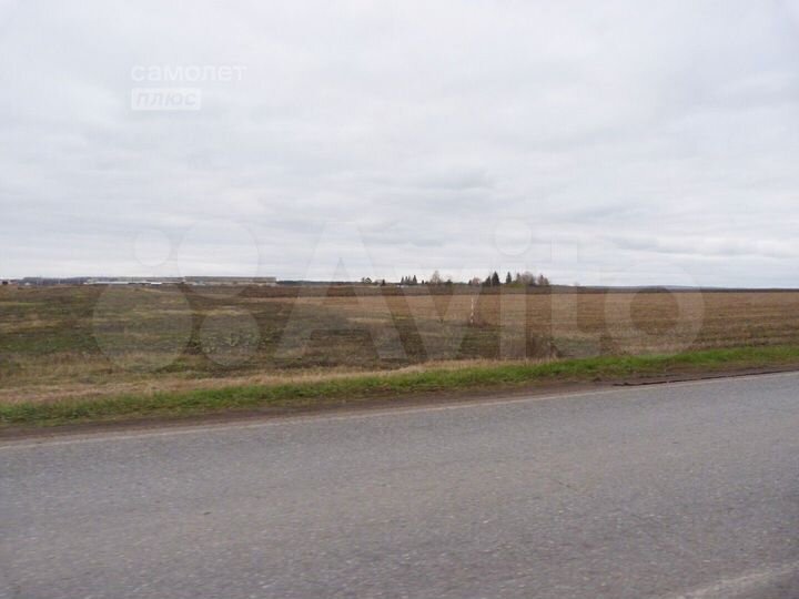 Участок 85,5 сот. (СНТ, ДНП)