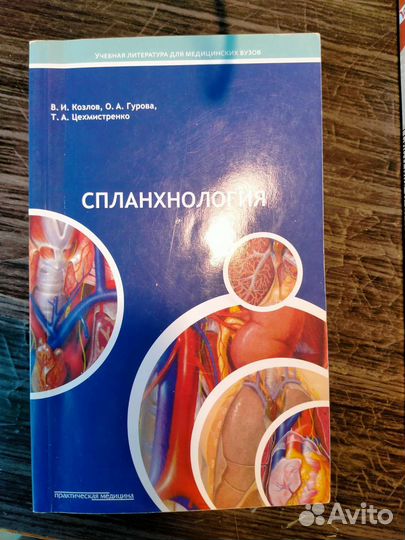 Учебник по анатомии